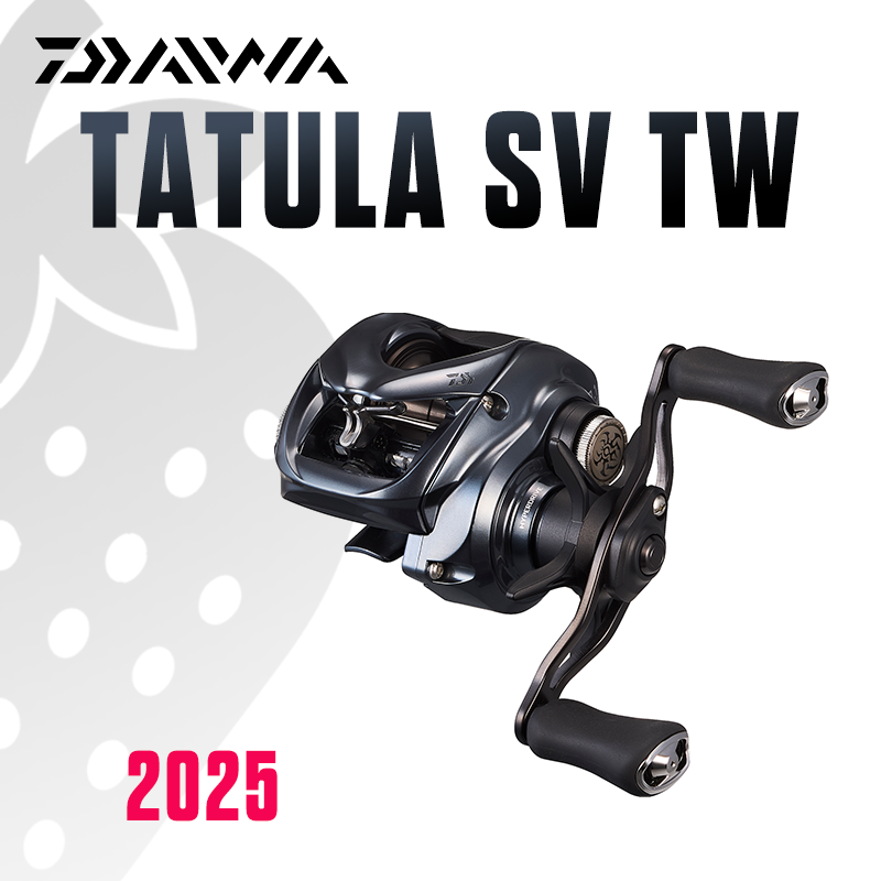 DAIWA 2025 TATULA SV TW100 Fis - đánh giá và giá Abu Garcia Reel Max
